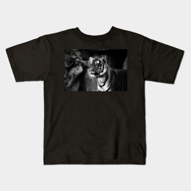 sebirian tiger, tiger black and white Kids T-Shirt by hottehue